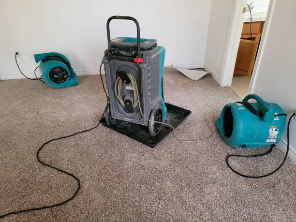 Best Water damage contractors near me  in Murphy, TX