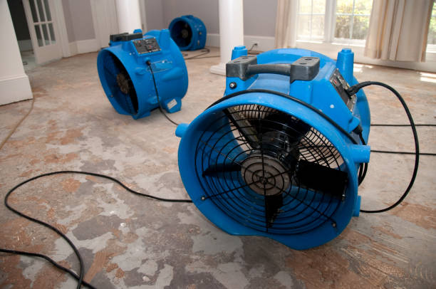 Best Water damage cleanup near me  in Murphy, TX