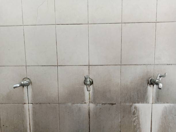 Best Flooded house restoration  in Murphy, TX