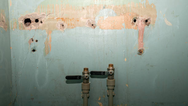 Best Sewage cleanup and water damage restoration  in Murphy, TX