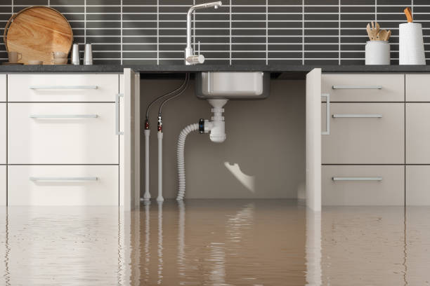 Best Water damage restoration near me  in Murphy, TX