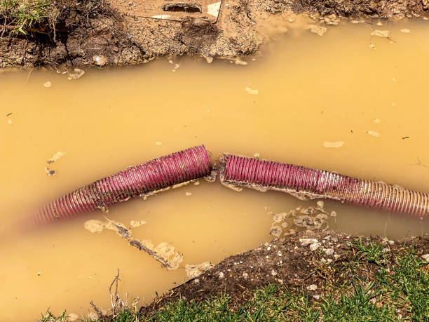  Murphy, TX Water damage restoration Pros