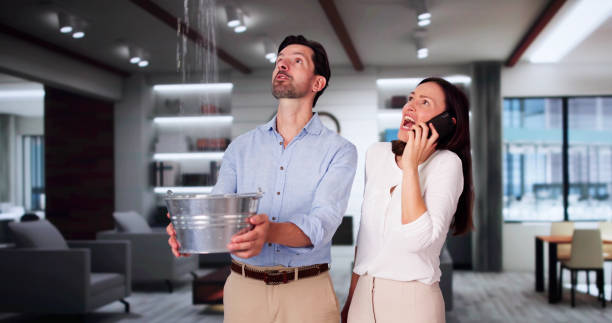 Best Professional water damage repair  in Murphy, TX